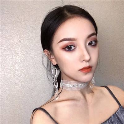 猎豹模拟中文版下载